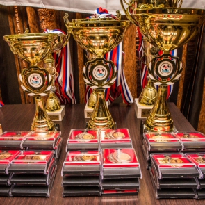  2013.    