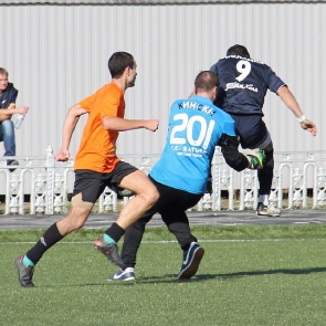     2015. 