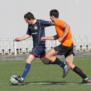     2015. 