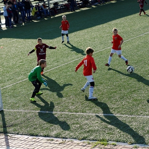        2006 ..